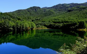 家乡的节日优秀作文（《家乡的味道》）