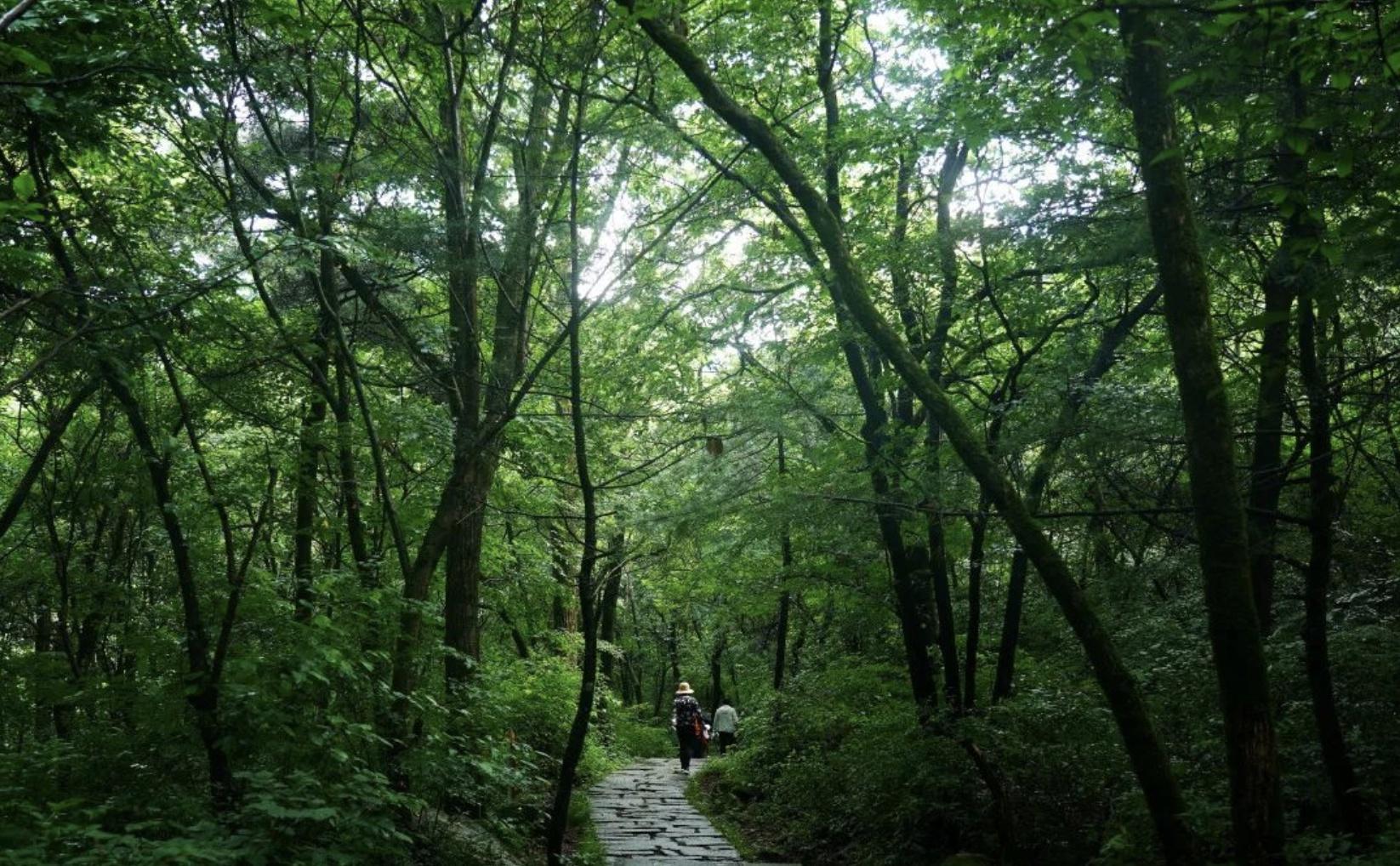 立夏二十四节气古诗名句（立夏古诗大全）