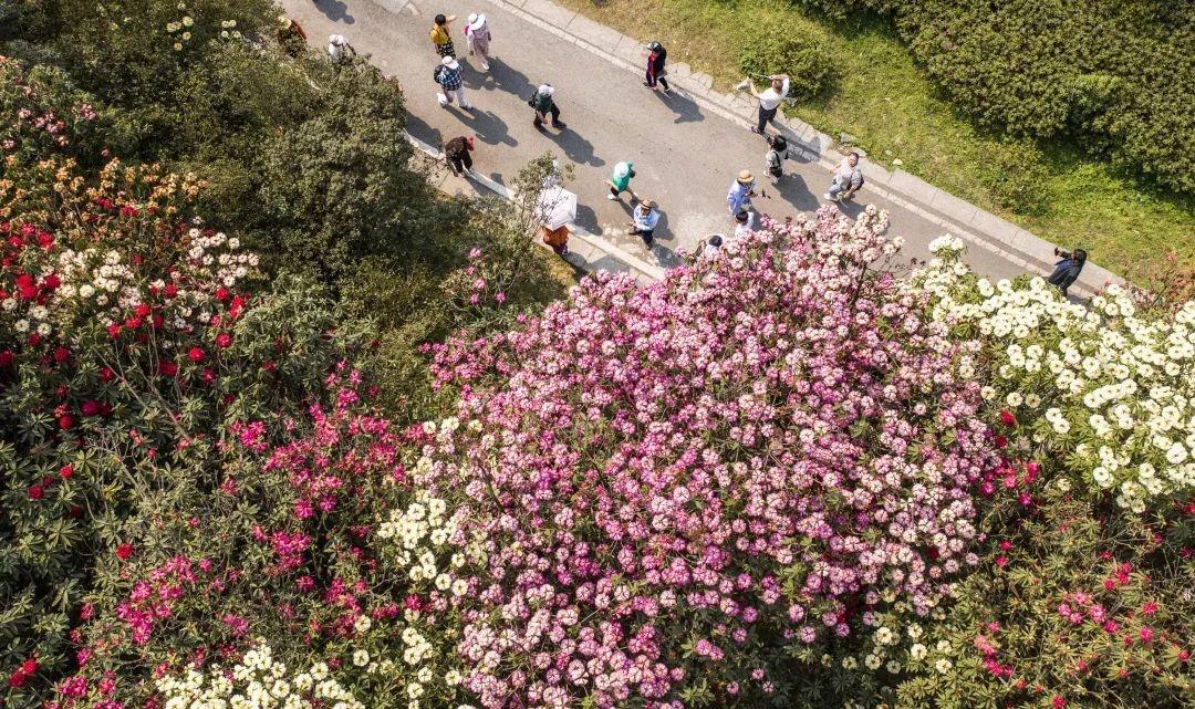 立夏二十四节气古诗名句（立夏古诗大全）