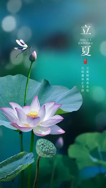 描写立夏节气的古诗词（立夏经典古诗名句大全）