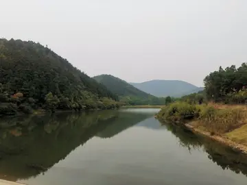 家乡的苹果优秀作文（《家乡的田园》）