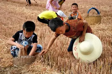 我与童年再见时作文600字（感谢童年）