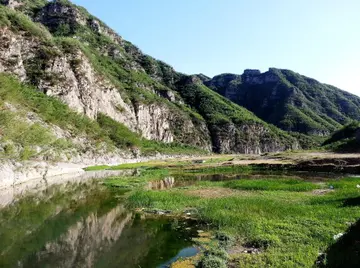 家乡的田园作文（《家乡的味道》）