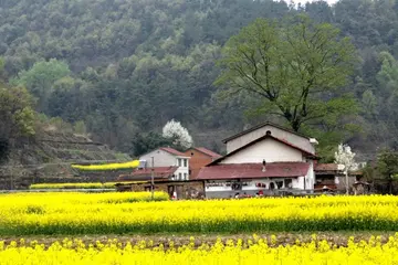 家乡的西瓜优秀作文（《家乡的风景》）