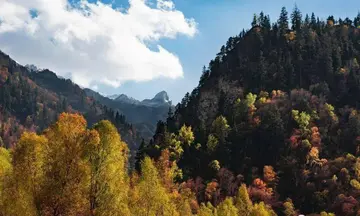 家乡的中秋作文（《家乡的风景》）