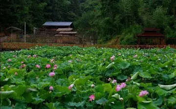 春节的话题优秀作文（《春节的年味》）