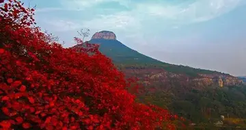 欢度春节的优秀作文（《春节的年味》）