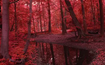 盼望春节的优秀作文（《家乡的春节》）