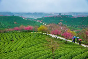 关于春节的趣事作文（《春节的趣事》）