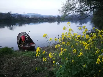 发现诗意作文600字（美丽的遇见）