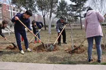 植树的益处与快乐作文（植树的愿望）