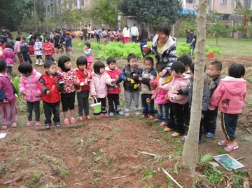 植树的益处与快乐作文（有劳动才会有快乐）