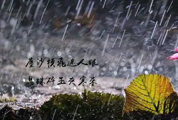 感谢那场风雨作文精选600字（笑着面对人生）