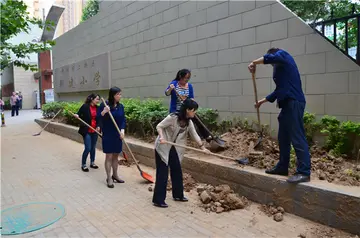 有关劳动快乐的精选作文（美丽的田野）