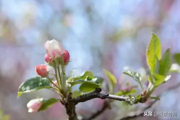 其实我也想作文600字范文（信任与爱）