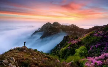 别样的风景作文（《夏日的风景》）