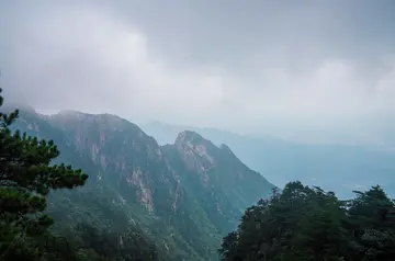 春天的风景优秀作文（《精彩的风景》）