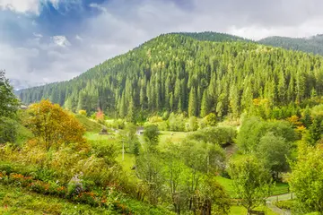 描写公园的风景作文（《童年的风景》）