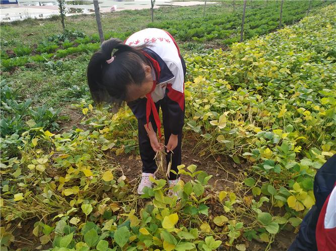 以我随着季节成长为话题的作文600字（《GrowingwiththeSeasons》）