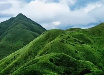 记忆里的风景作文（《童年的风景》）