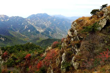 记忆里的风景作文（《童年的风景》）