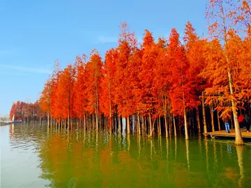 记忆里的风景作文（《难忘的风景》）