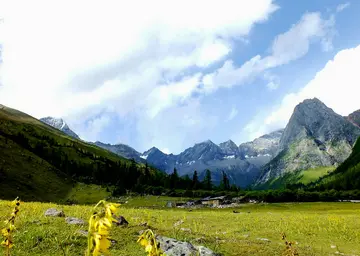 成长路上的风景作文（《夏日的风景》）