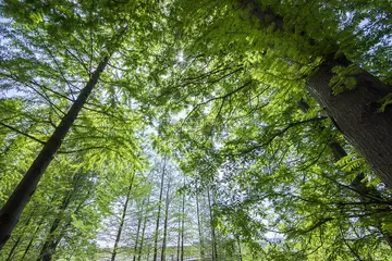 描写风景的作文（《精彩的风景》）