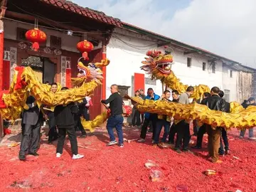 期待快乐的新年作文精选（千盼万盼）