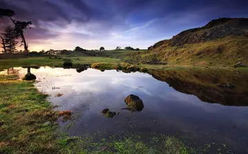 秋天的风景作文（《童年的风景》）