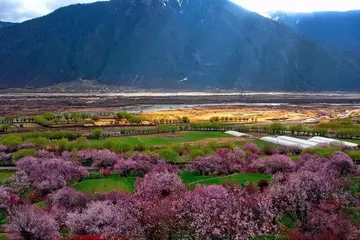 夏日里的风景作文（《美好的风景》）