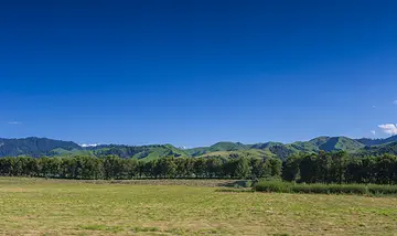 夏天的风景作文（《夏日的风景》）