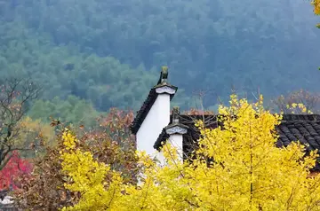 夏天的风景作文（《夏日的风景》）