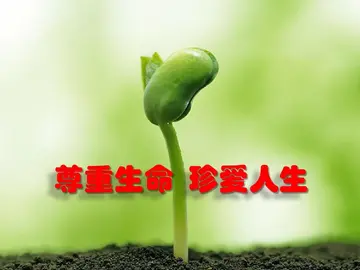 珍惜生命作文600字范文（文明的传播者）