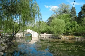 心中的风景作文(《童年的风景》）