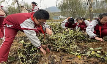 快乐的家务劳动作文范文（泪水和喜悦）