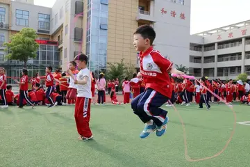 运动会感受作文600字范文（兴奋的心情）