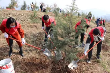 守护环境600字优秀作文（美好的挚意）