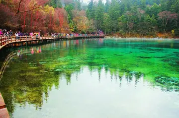 难忘的国庆节作文（《难忘的风景》）