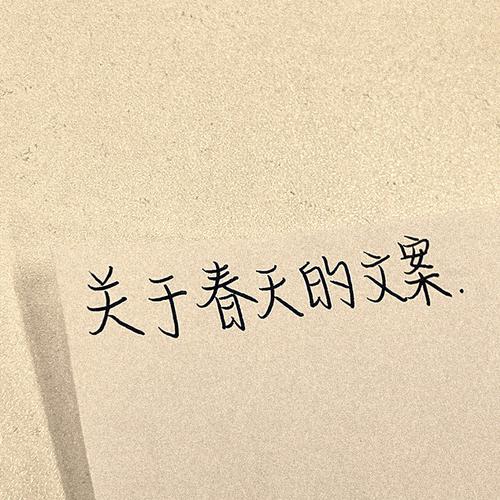 关于雾的文案短句（关于雾的警句）