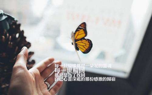 体现教师教育情怀的诗句（适合教育者发朋友圈的语录优美）