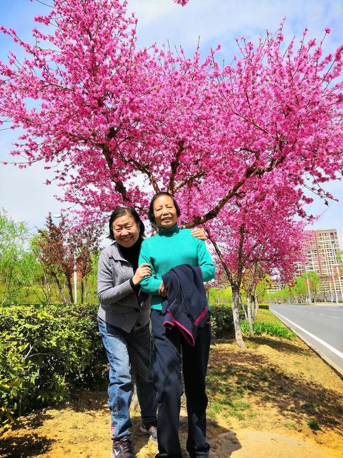 百花盛开五彩缤纷的诗句（赞美花朵的优美名言）