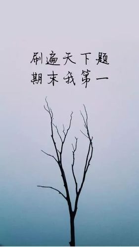 考研的语句（考研励志标语八个字赠言）