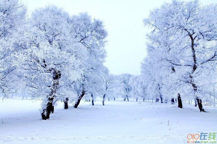 下雪的搞笑幽默句子简短（疫情下雪的说说心情短语赠言）