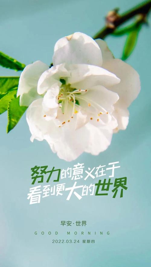 新的一天继续努力句子（新的一天美好心情优美）