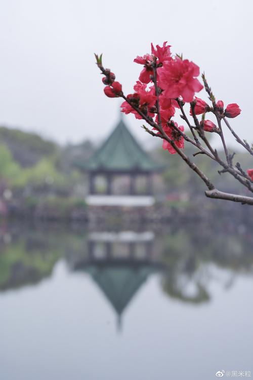 冬天蒙蒙细雨的诗句（冬天烟雨蒙蒙的唯美）