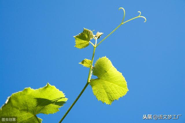 淡定从容霸气的经典语录（学会从容淡定的说说话语）