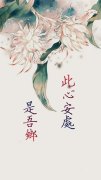 优美诗句古风简短唯美（落入凡间的温柔古风句子语录）