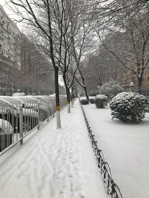 大雪纷飞的经典语句（形容大雪纷飞的好句文案）