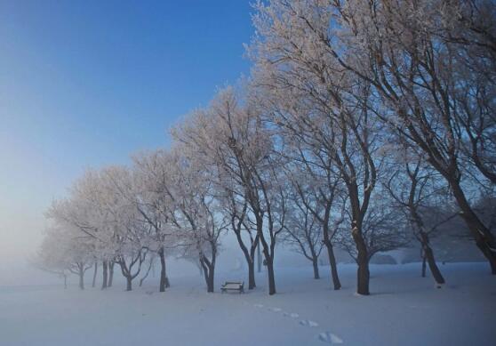 大雪纷飞的经典语句（形容大雪纷飞的好句文案）